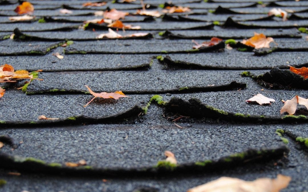 5 Signs You Need a New Roof