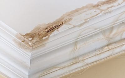How to Deal with Residential Water Damage