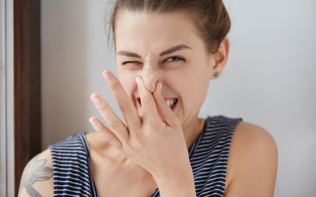 7 Sources of Odors in the Home