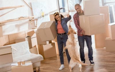 6 Smart Tips for Moving on a Budget