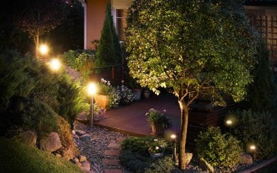 6 Landscape Design Tips to Transform Your Yard