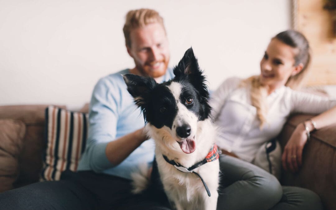 Pet-Proofing Your Home
