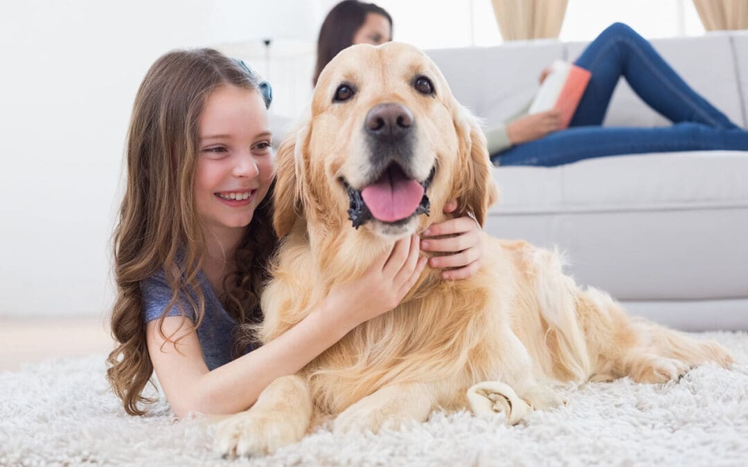 Cleaning Tips for Pet Owners